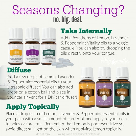 10 Amazing Ways To Use Essential Oils In The Summer