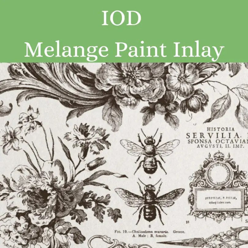 Melange IOD Paint Inlay Blue Star At Home
