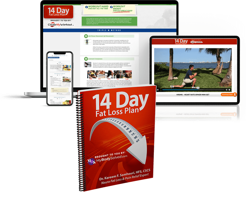 14 Day Fat Loss Plan My Body Solved