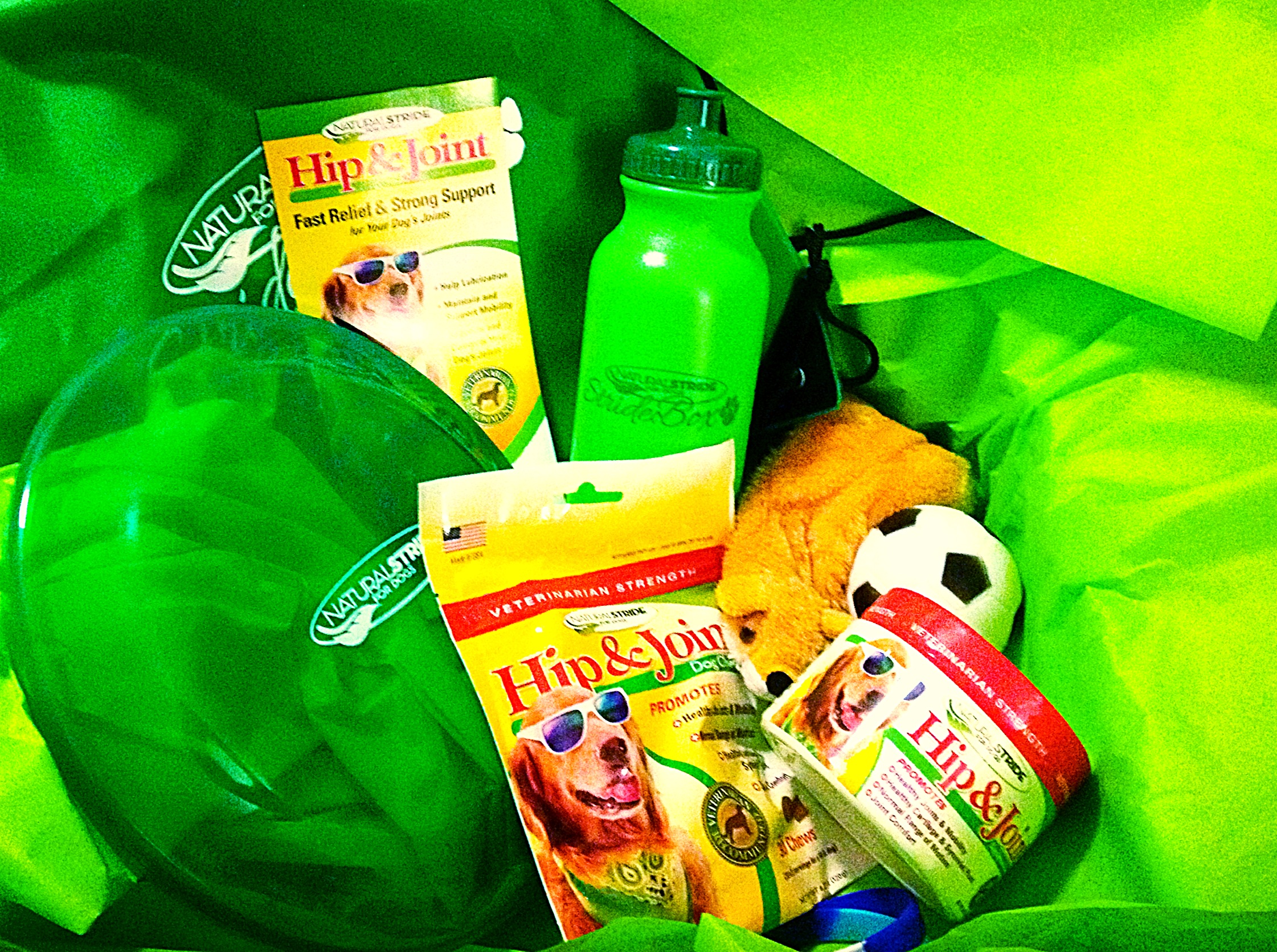 Dog Hip And Joint Supplements With Cetyl Myristoleate My