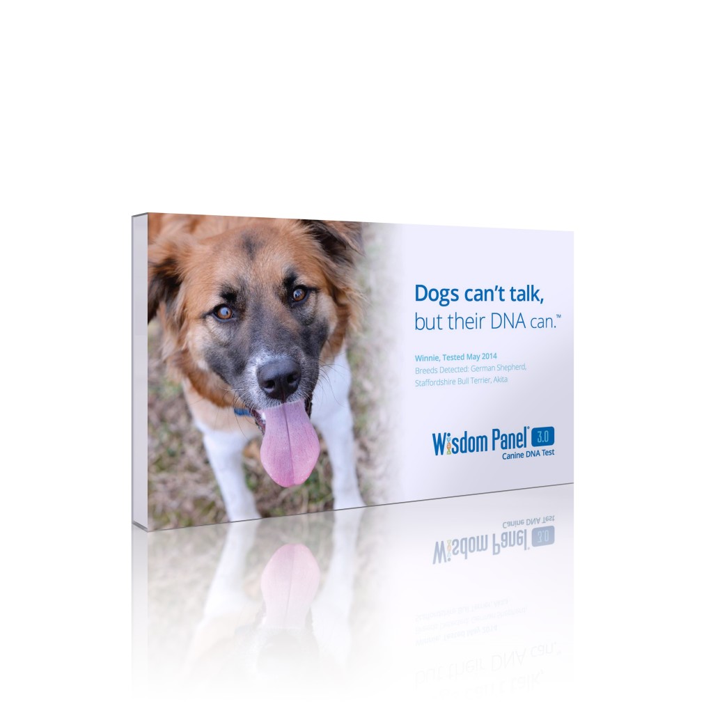 Dogs Can't Talk, But Their DNA Can. Why Not Help Them Out