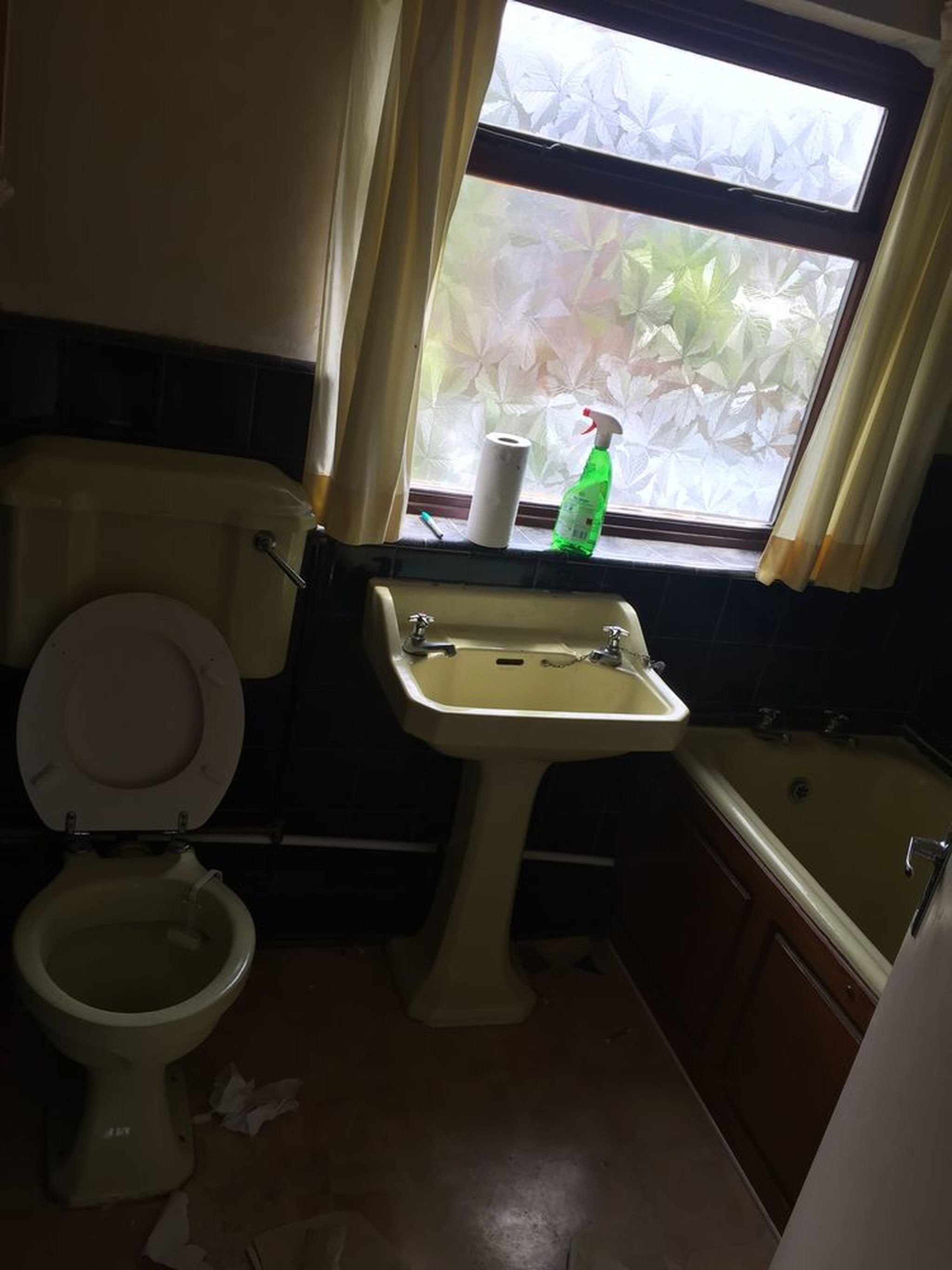 Lauren McDonald Britain's Worst Bathroom 2017 COMPETITION CLOSED