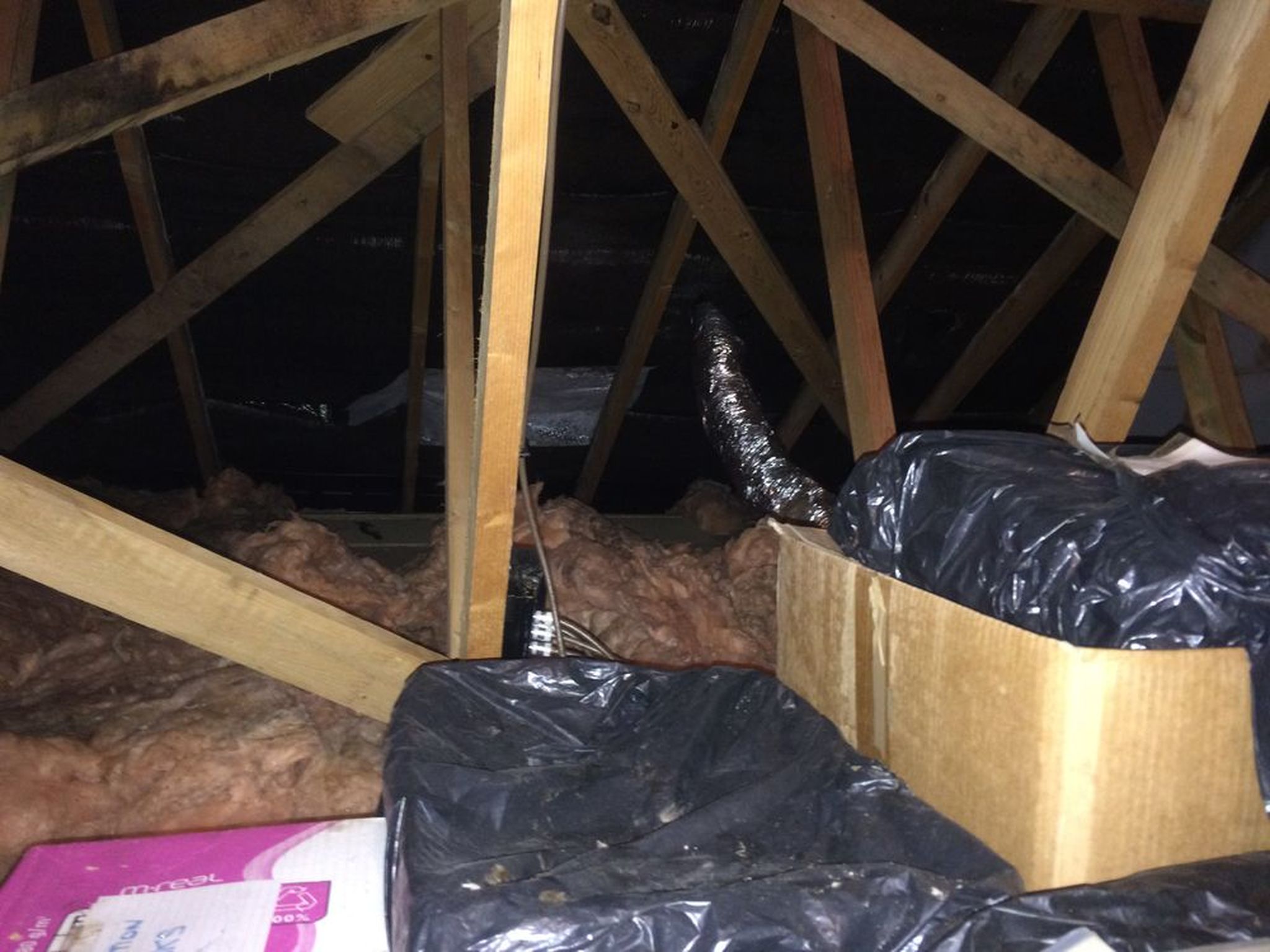 Hole in roof felt in loft internal causing leak Job of the Year 2018