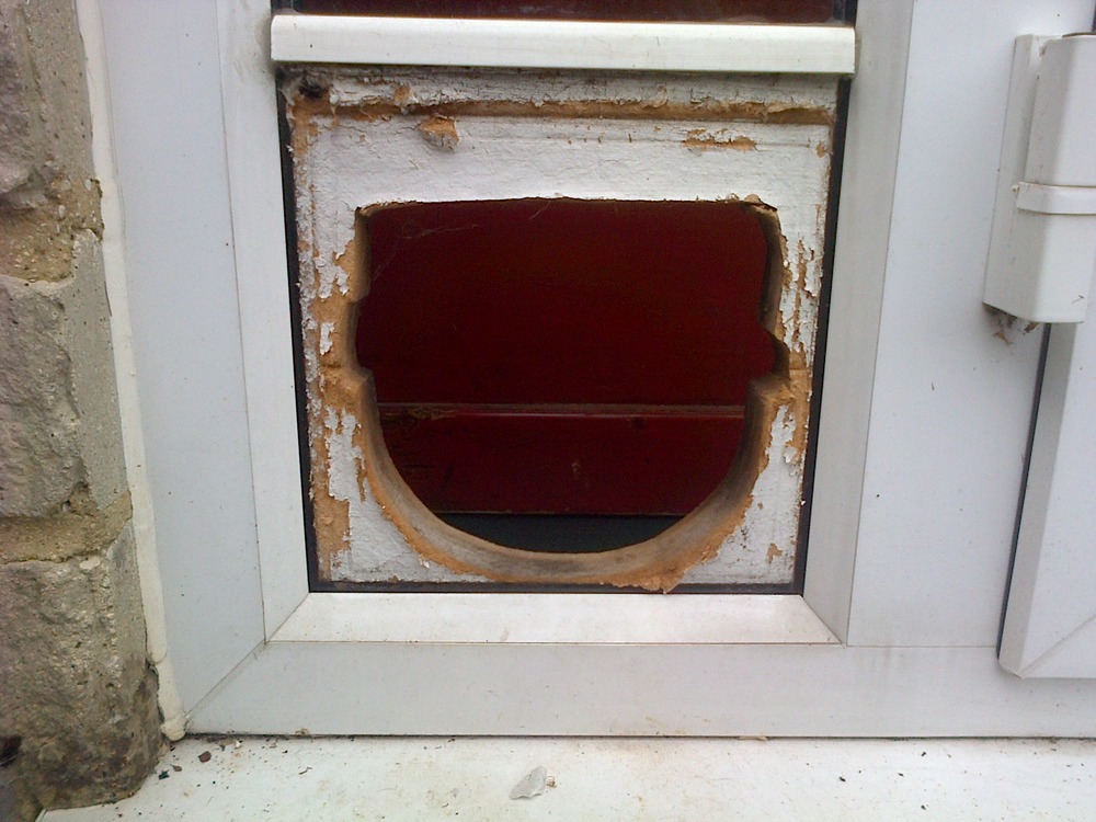 Repairing cat flap in french doors Handyman job in Kidlington