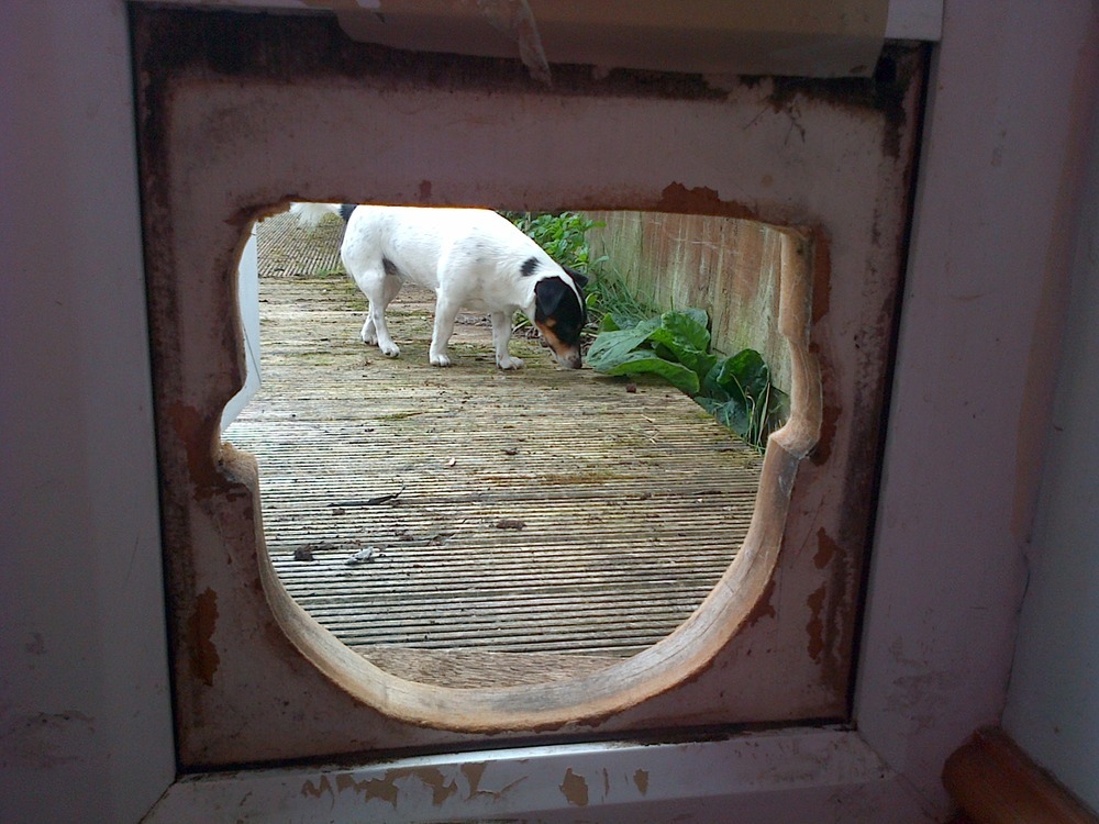Repairing cat flap in french doors Handyman job in Kidlington