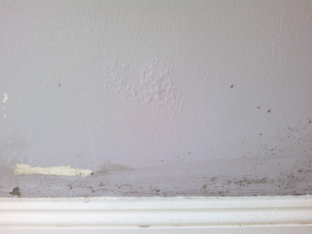 Damp on bottom of exterior wall Damp Proofing job in Enfield