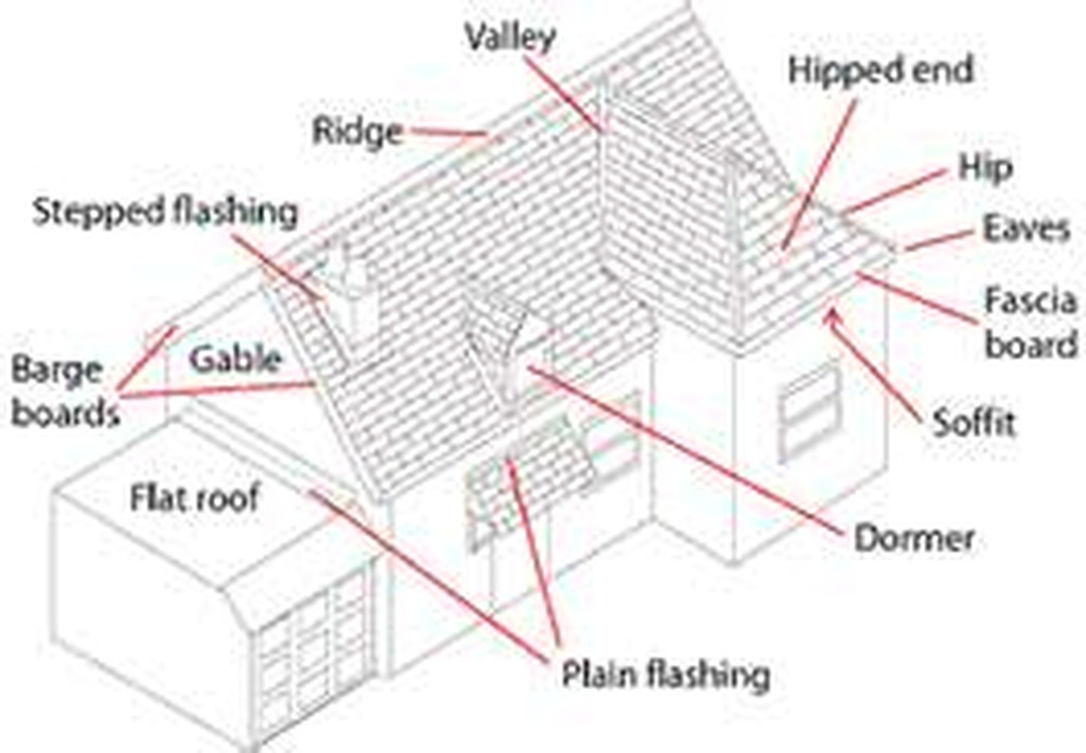 Suellen Kucan August 2014