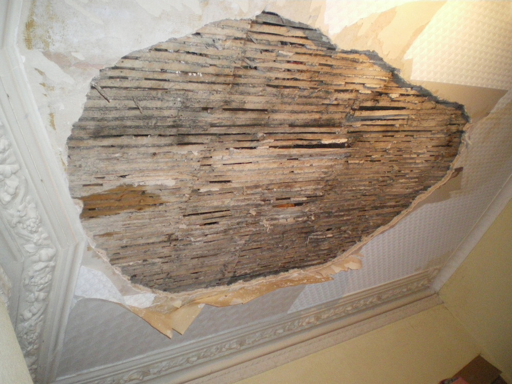 Repair of lath and plaster ceiling - Restoration & Refurbishment job in