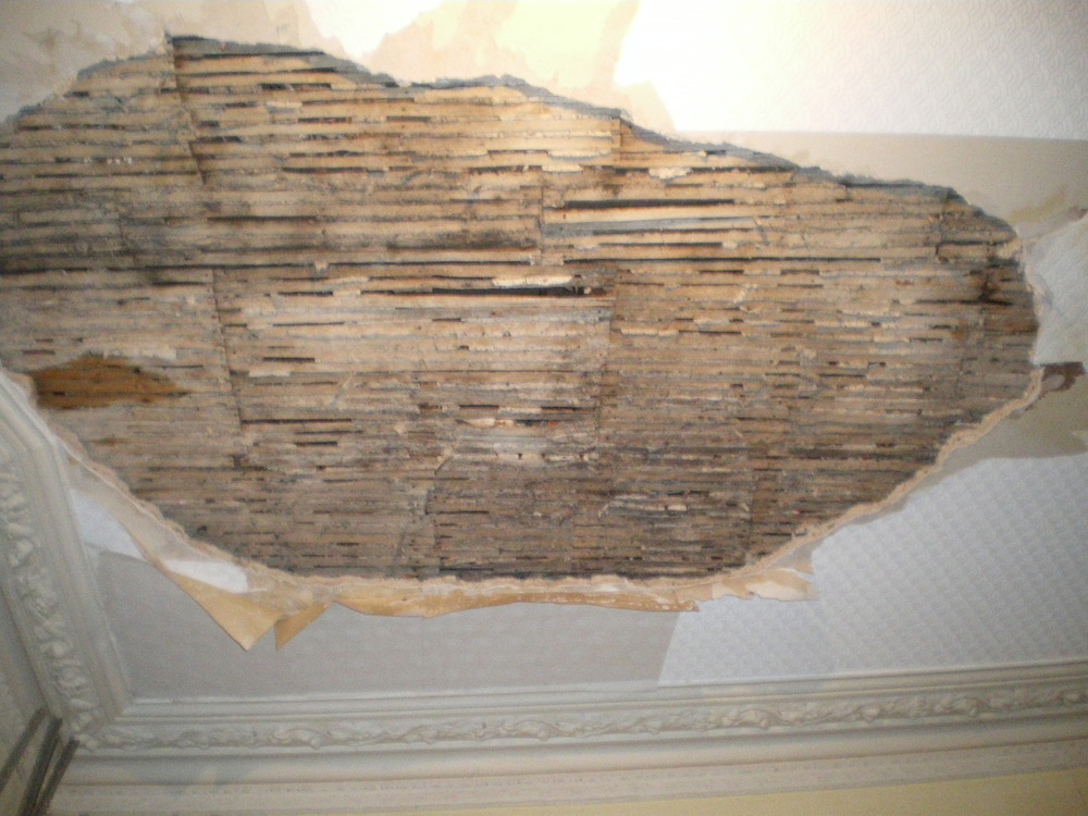 Repair of lath and plaster ceiling Restoration & Refurbishment job in