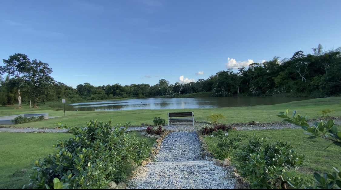 Luxurious East Lake Apartment Arima My Bunch of Keys