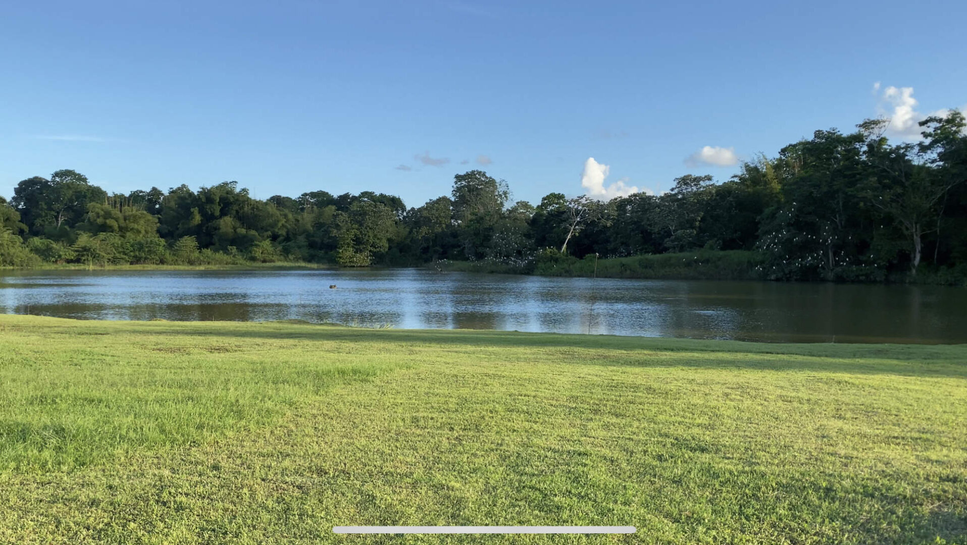 Luxurious East Lake Apartment Arima My Bunch of Keys