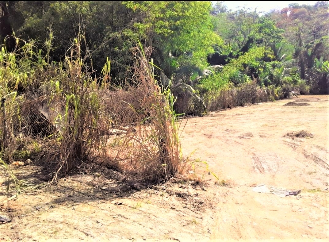 25,000 SQ. FT. PLOT OF LAND FOR SALE SANTA CRUZ My Bunch of Keys