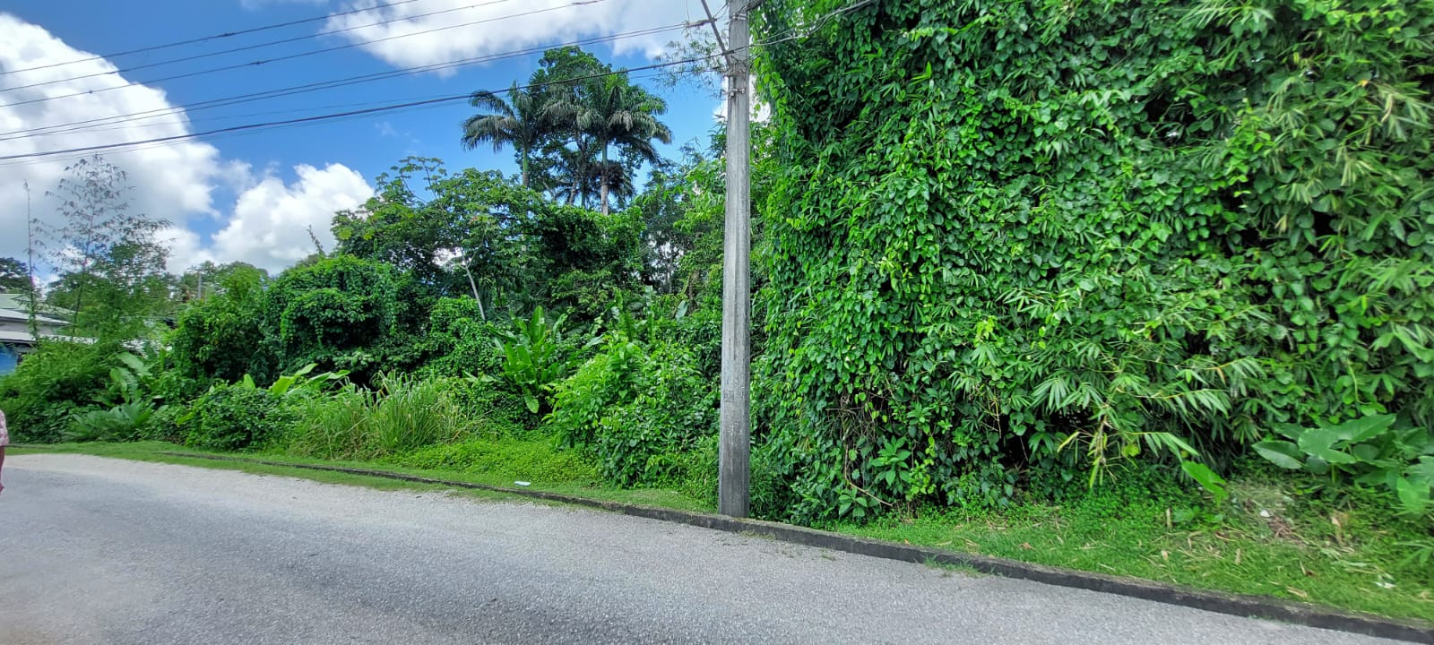 Todd’s Station Road, Talparo TT1 Mil My Bunch of Keys