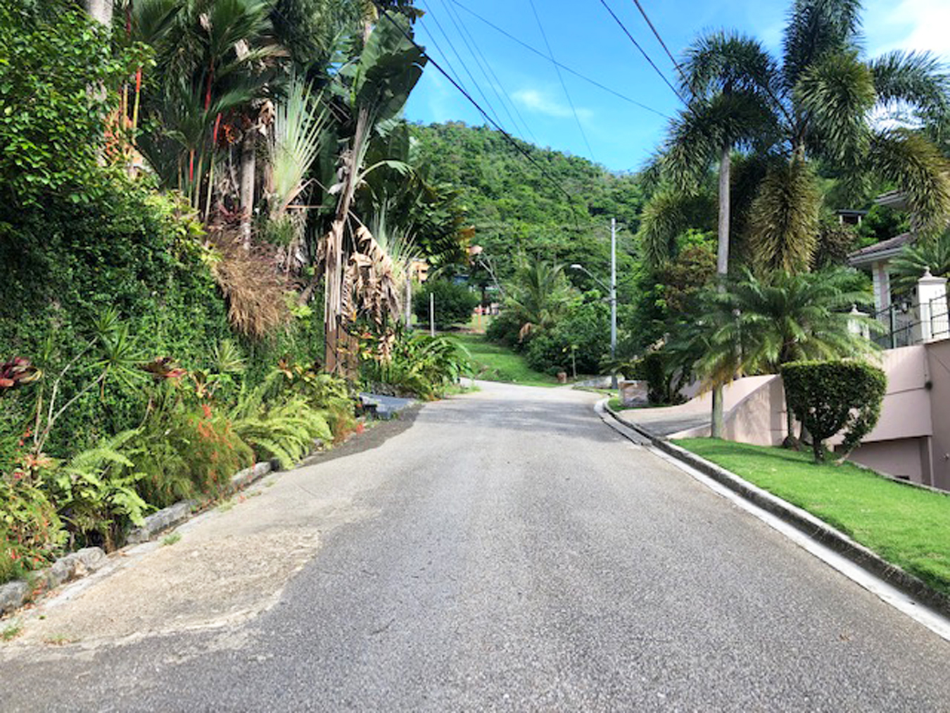 Land For Sale in Maracas Valley My Bunch of Keys