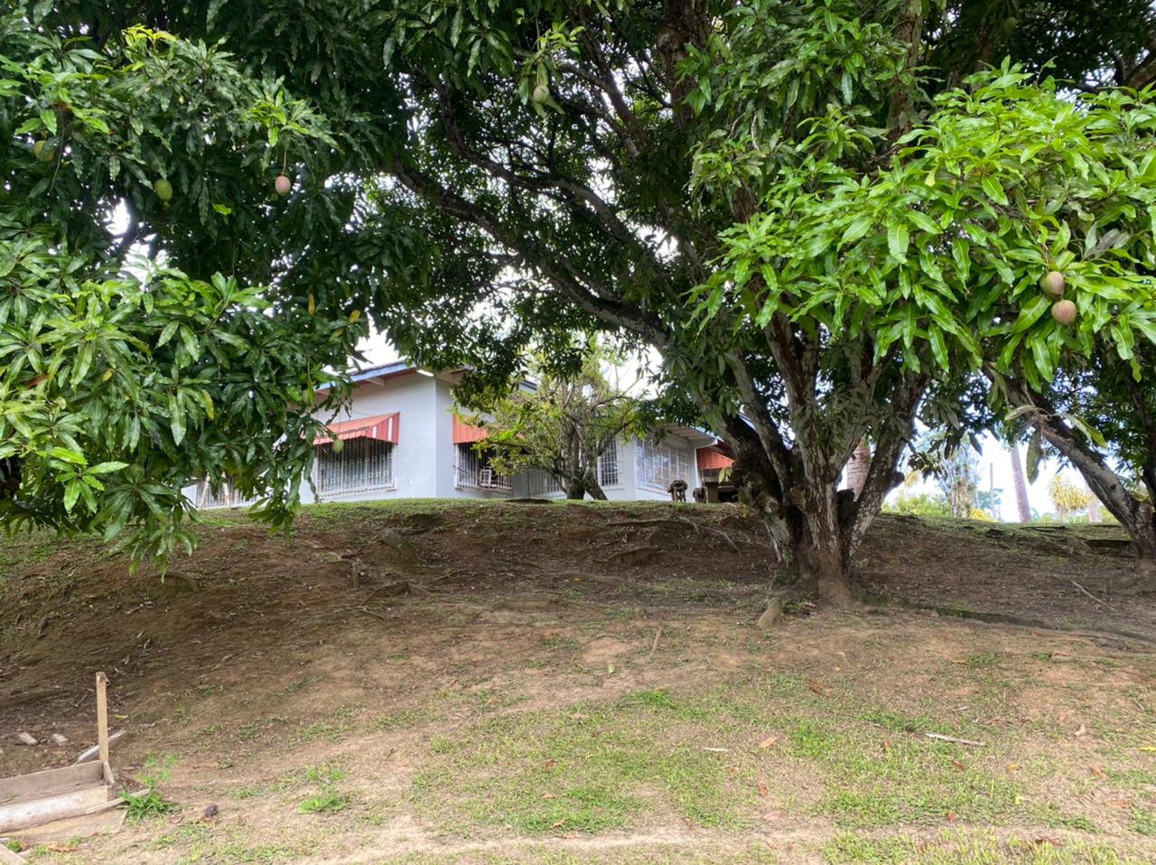 68,443 sq ft Land Clifton Hill, Point Fortin with house 3 minutes from