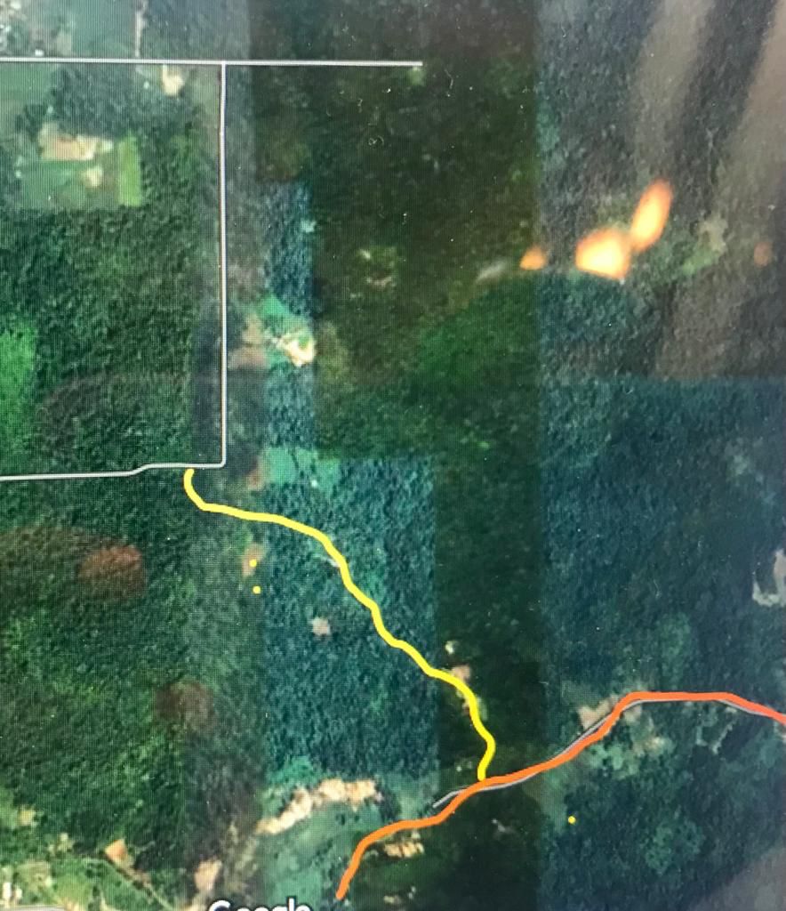 LAND FOR SALE CHAGUANAS RAVINE SABLE 10 ACRE AND 16 ACRE PLOTS