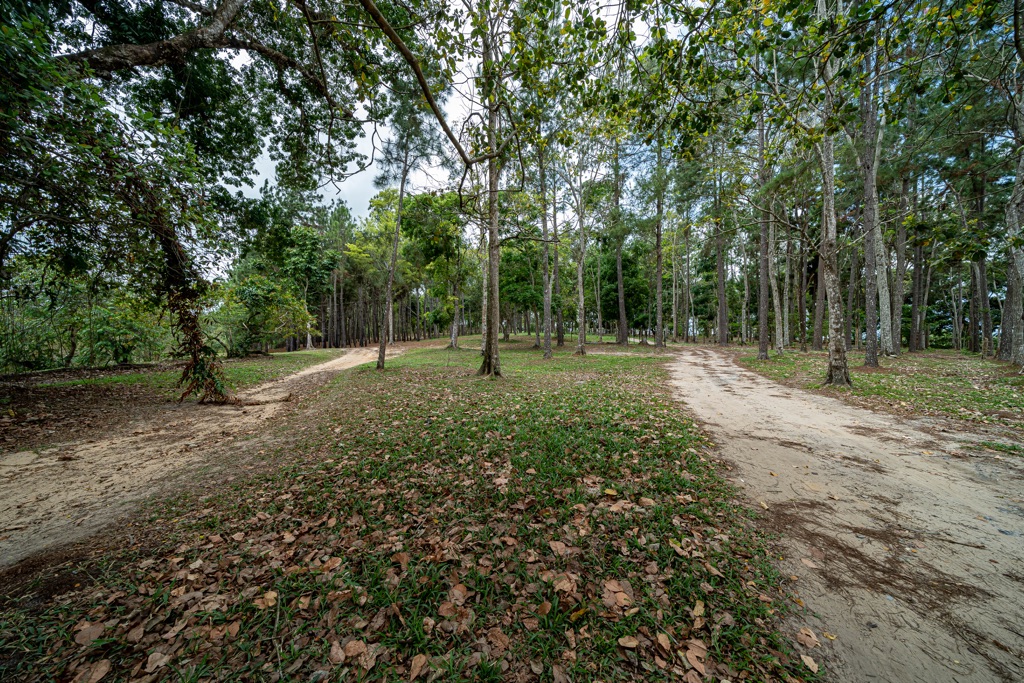 Land For Sale Sandy Hill Nature Park, Freeport Starting at 1.1MTT