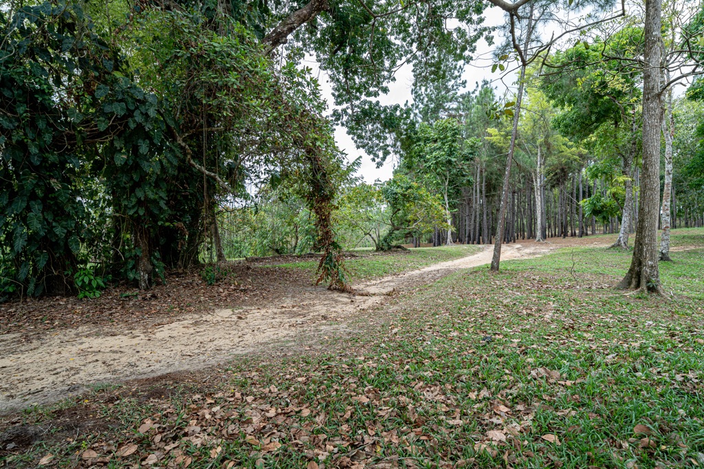 Land For Sale Sandy Hill Nature Park, Freeport Starting at 1.1MTT