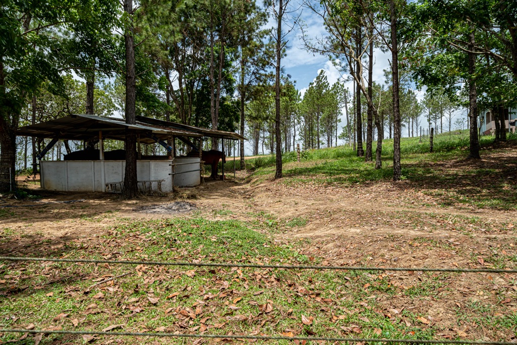 Land For Sale Sandy Hill Nature Park, Freeport Starting at 1.1MTT