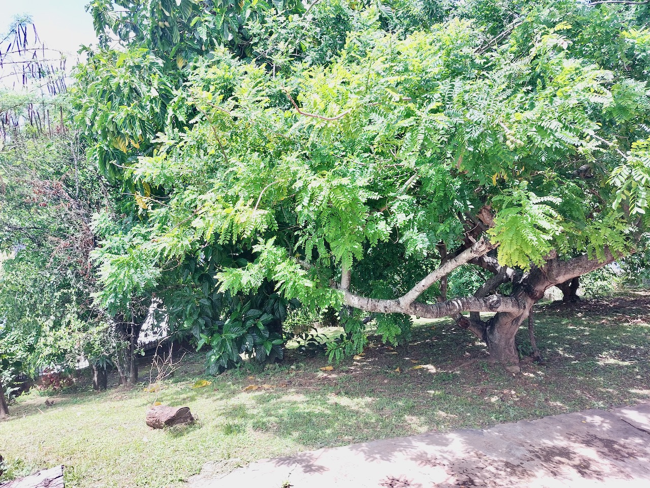 House for sale St. Joseph My Bunch of Keys