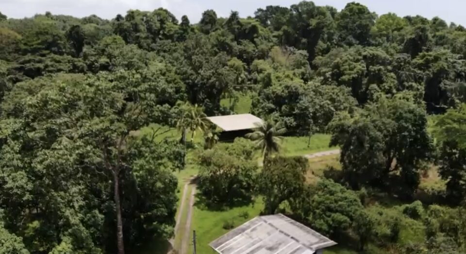 90 Acres Of Land Sangre Grande My Bunch of Keys