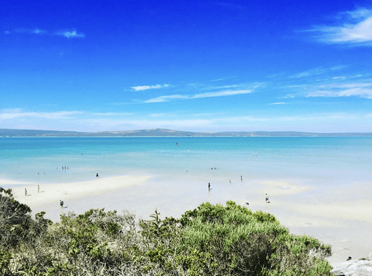 Laguna Langebaan West Coast National Park My CapeTown