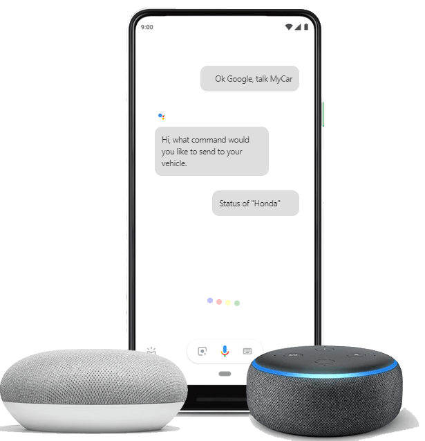 Alexa & Google Assistant