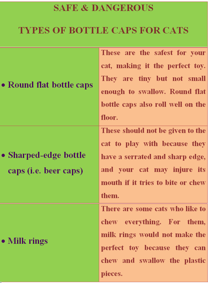 🐱 WHY Do Cats Like Playing with BOTTLE CAPS? MyCatTips