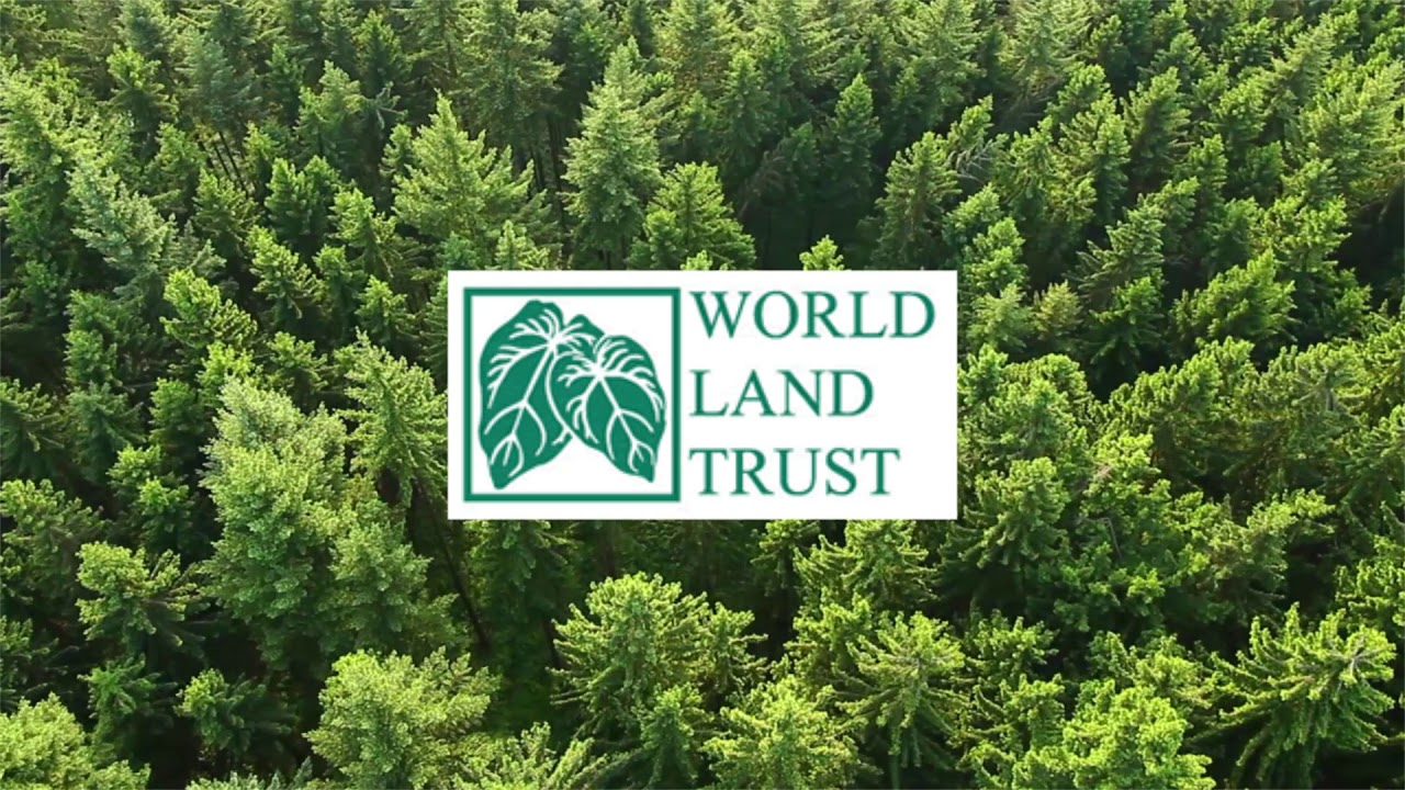 World Land Trust My Cause UK