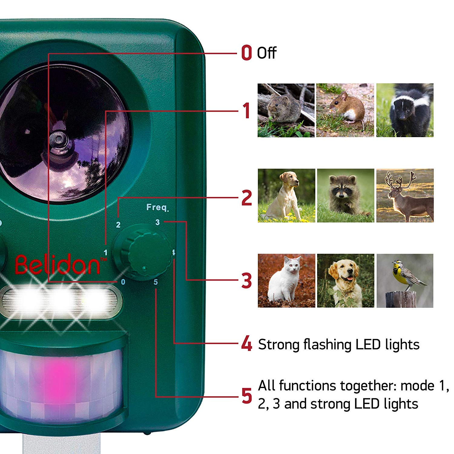 Belidan Animal Repellent Ultrasonic Outdoor Advanced Animal Repeller