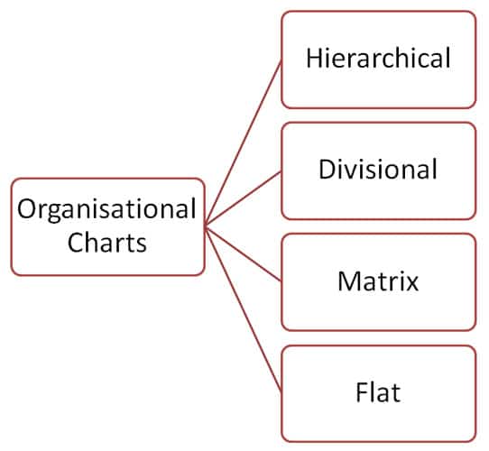 Organizational Charts: The best way to design your structure - My Chart