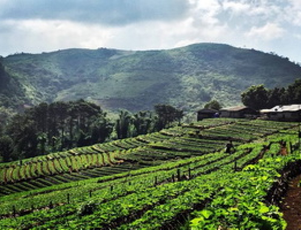Doi Inthanon National Park "The Roof of Thailand"