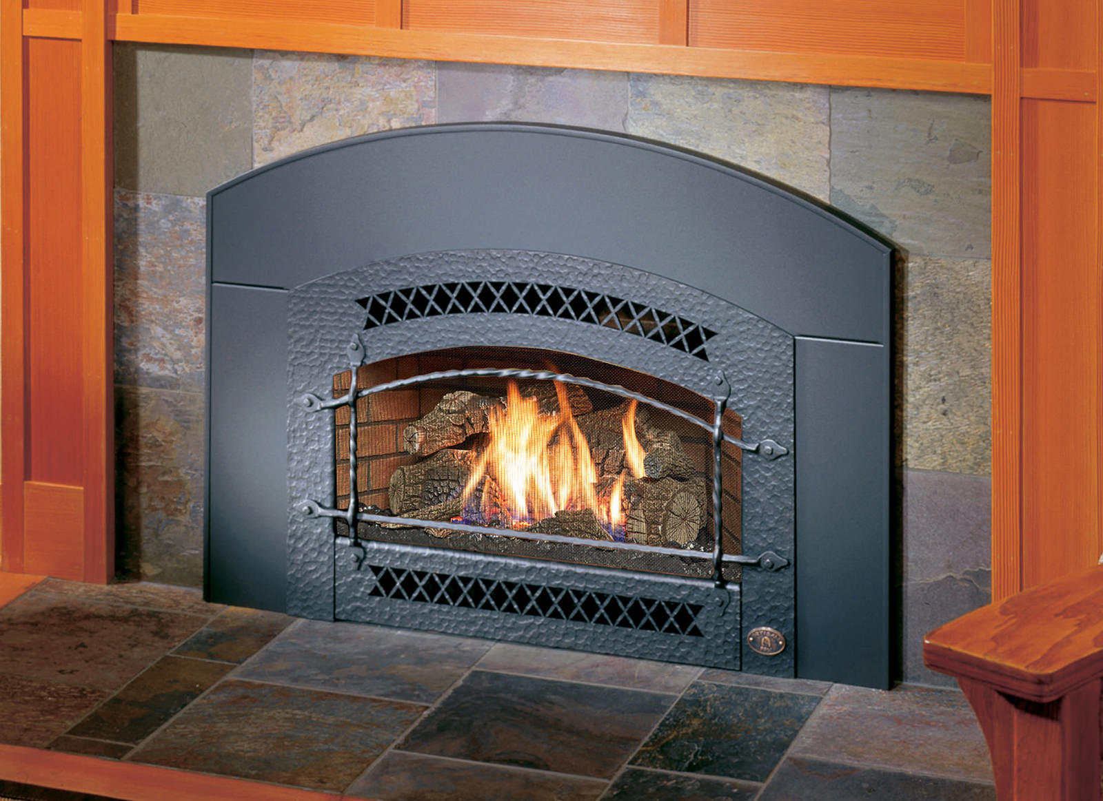 Chimney Pro NW NE Alabama, Tennessee Gas Fireplace Inserts
