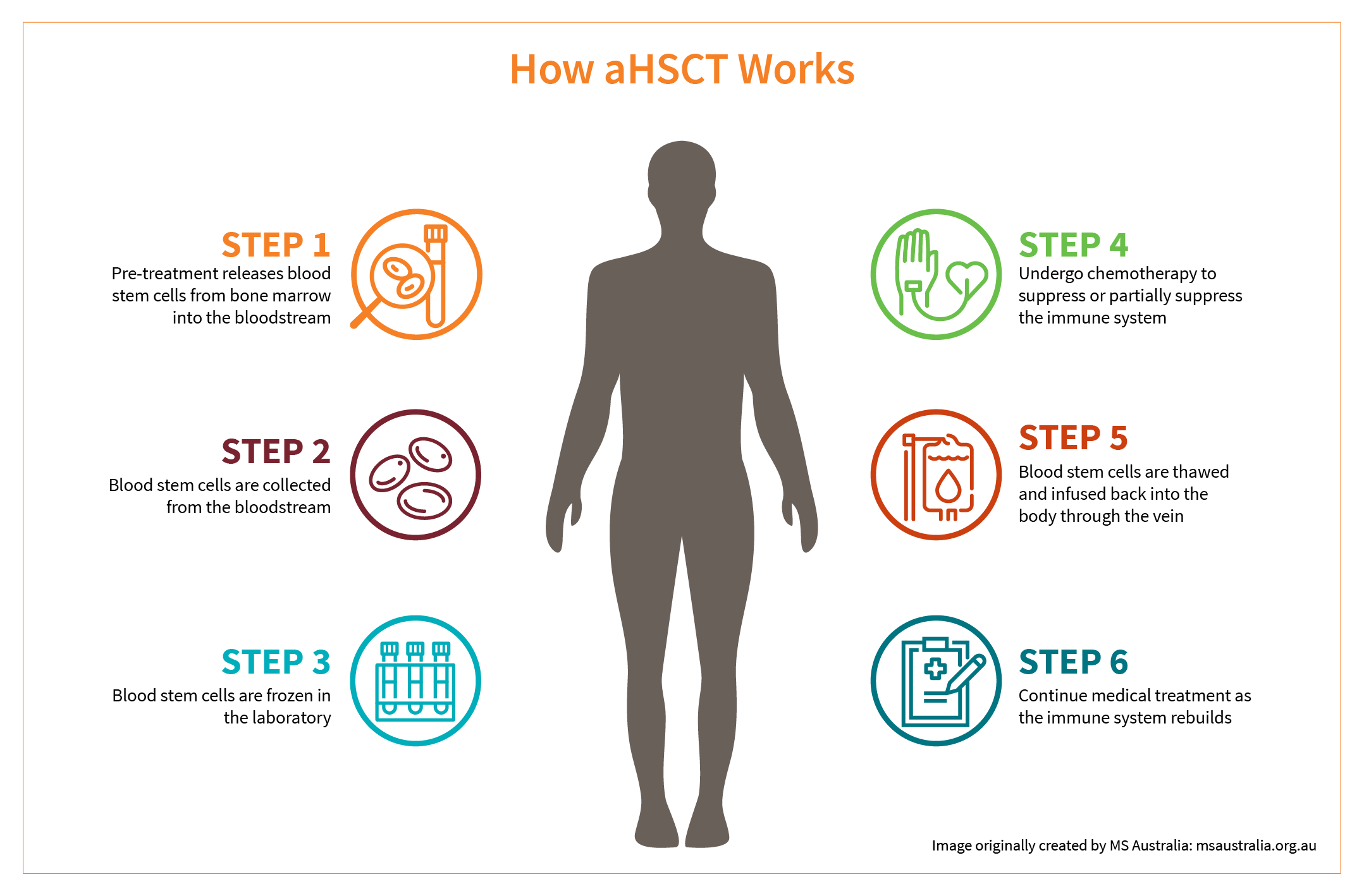The HSCT Process My Chronic Library