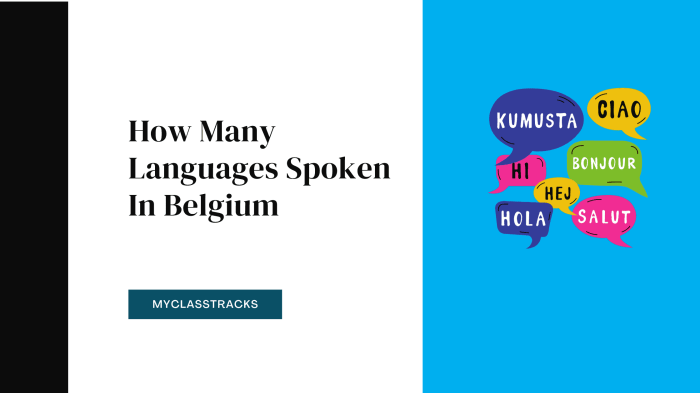 What Language Do Belgians Speak: A Comprehensive Overview What Language Do Belgians Speak: A Comprehensive Overview