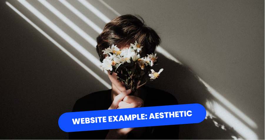 12 Best Aesthetic Website Examples Inspiring Examples