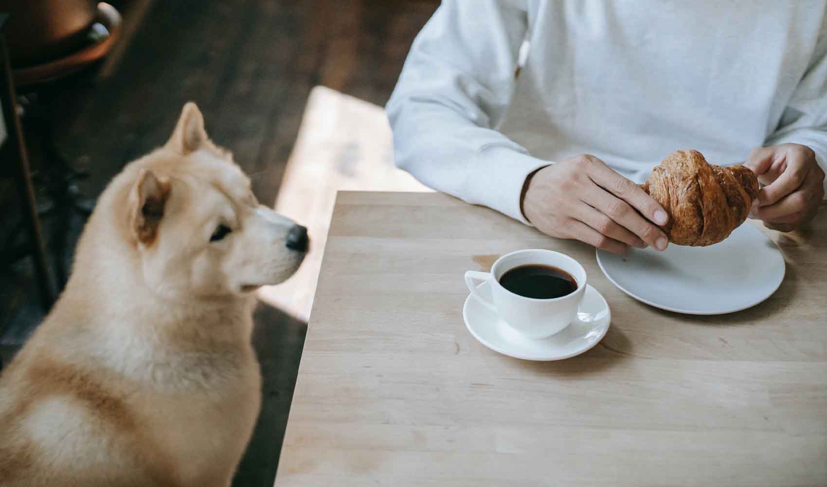 How to Make the Best Instant Coffee My Coffee Guide