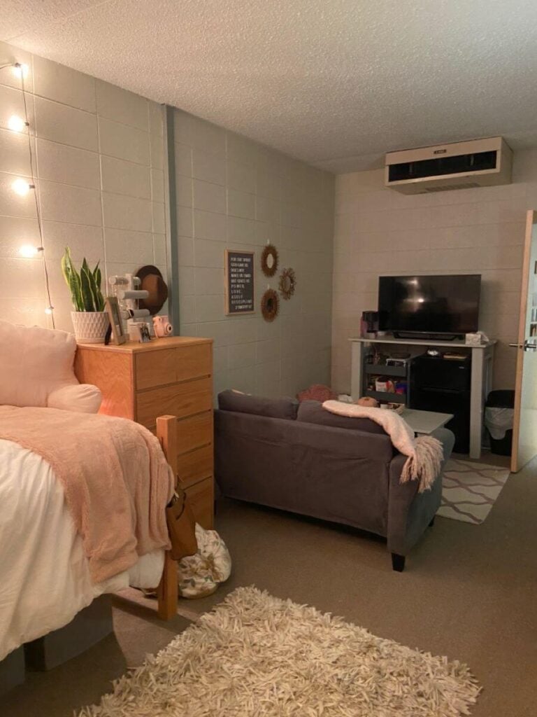 15 Genius Single Dorm Room Ideas (Layout & Decor Ideas) College Savvy
