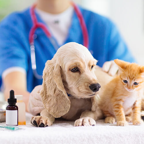 My Compounding Pharmacy Online Chemist Australia Fast Delivery