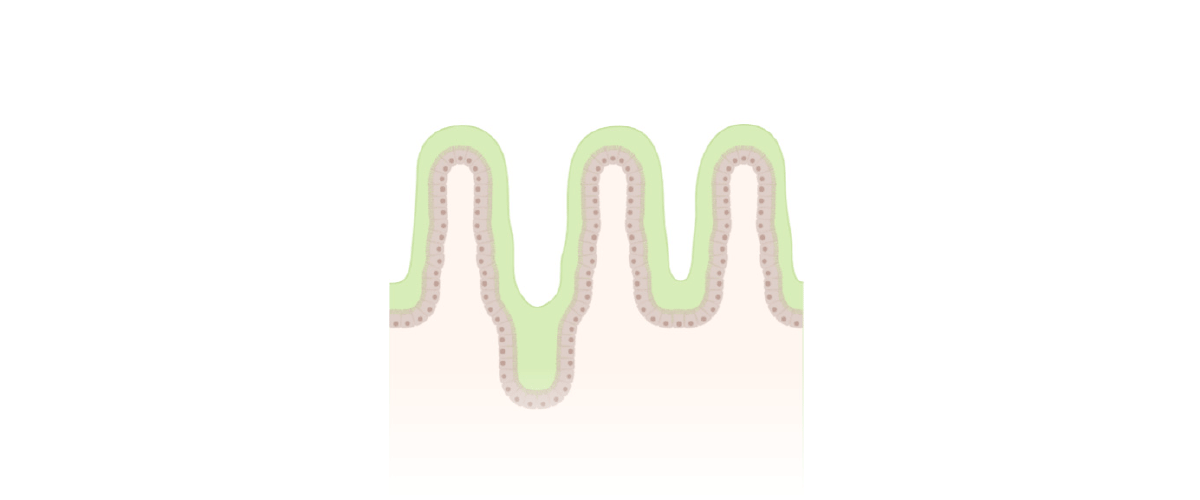 Effects of mycotoxins on animal health and productivity