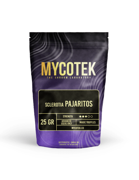 Kaufen Filter jar 280 ml