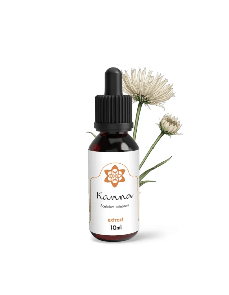 Buy EZ Test Ecstasy 1 test