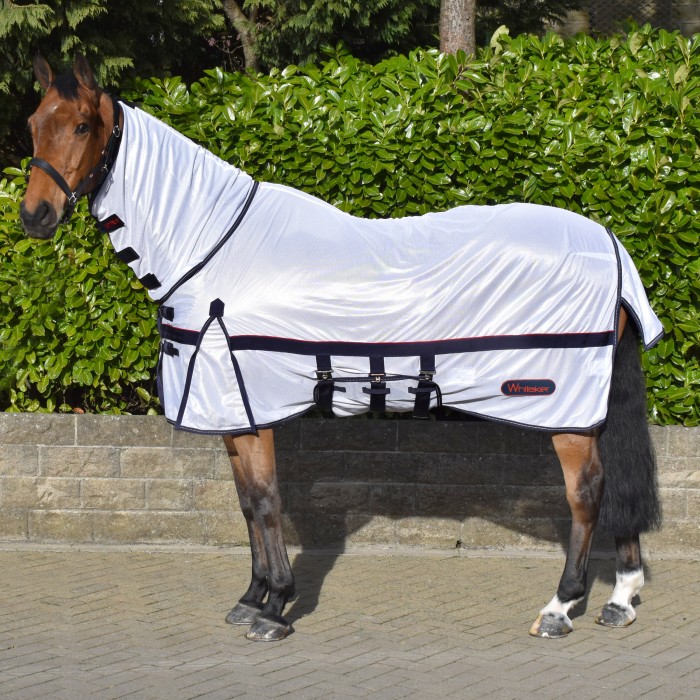 Benefits of Fly Masks & Rugs for Horses May Onwards in the UK