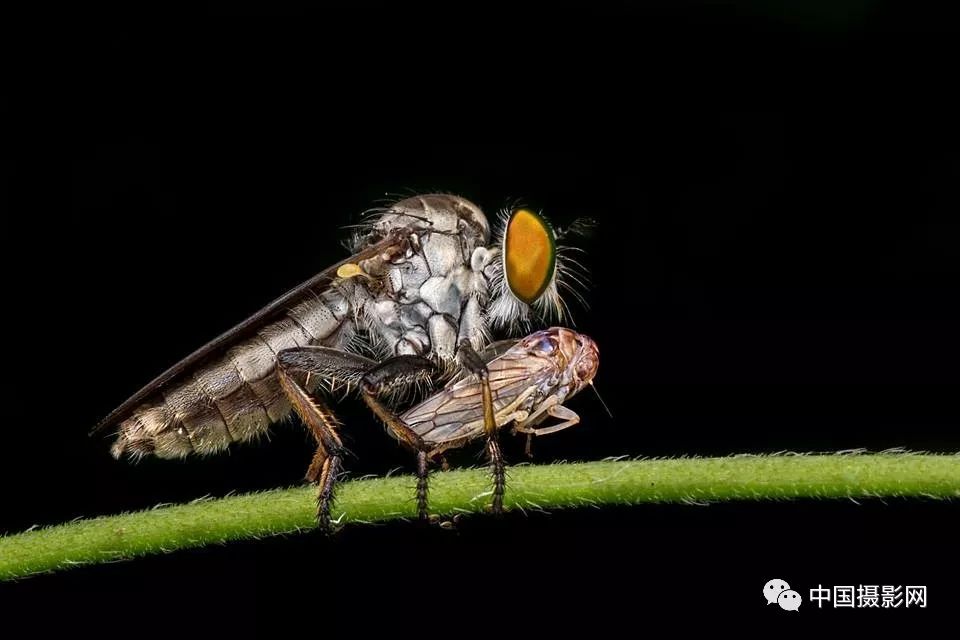 Appreciation and analysis of 100 best photographic works in the 2019 World photography forum