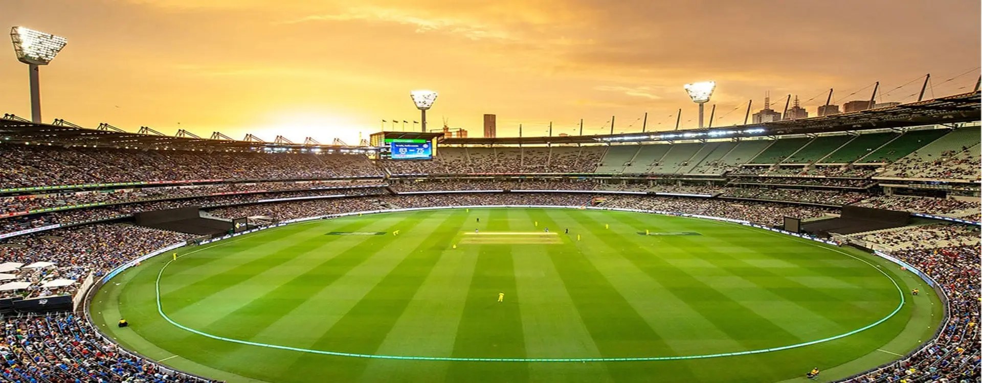 Live HD Cricket Streaming Online, Paid Live Cricket