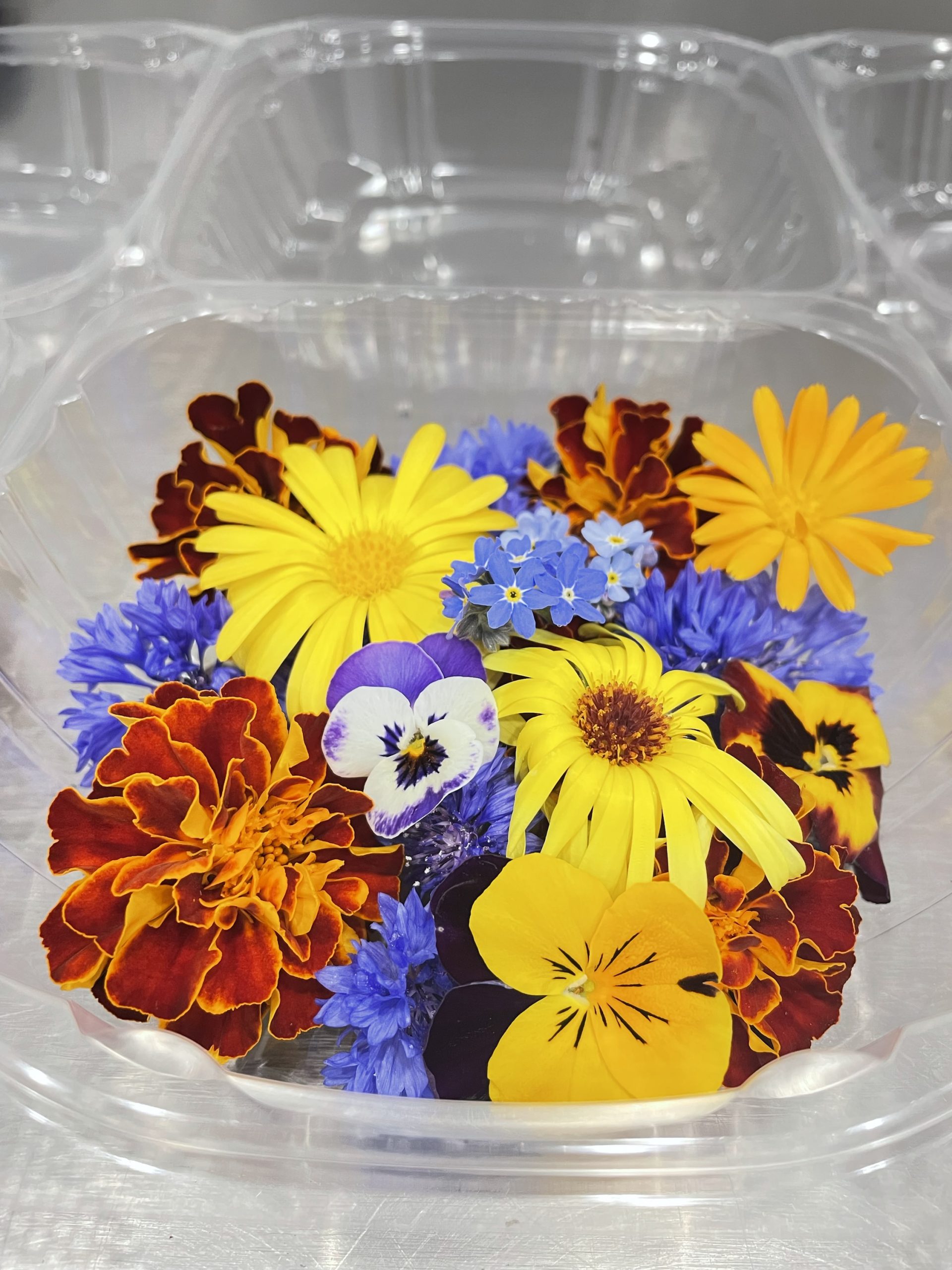 Mycro Flower Mix Mycro Greens Kelowna