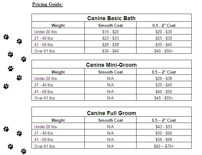 Grooming Veterinarians Woodstock Crossroads Veterinary Hospital