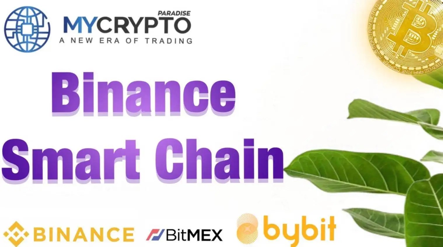 Everything You need to know about Binance Smart Chain MyCryptoParadise