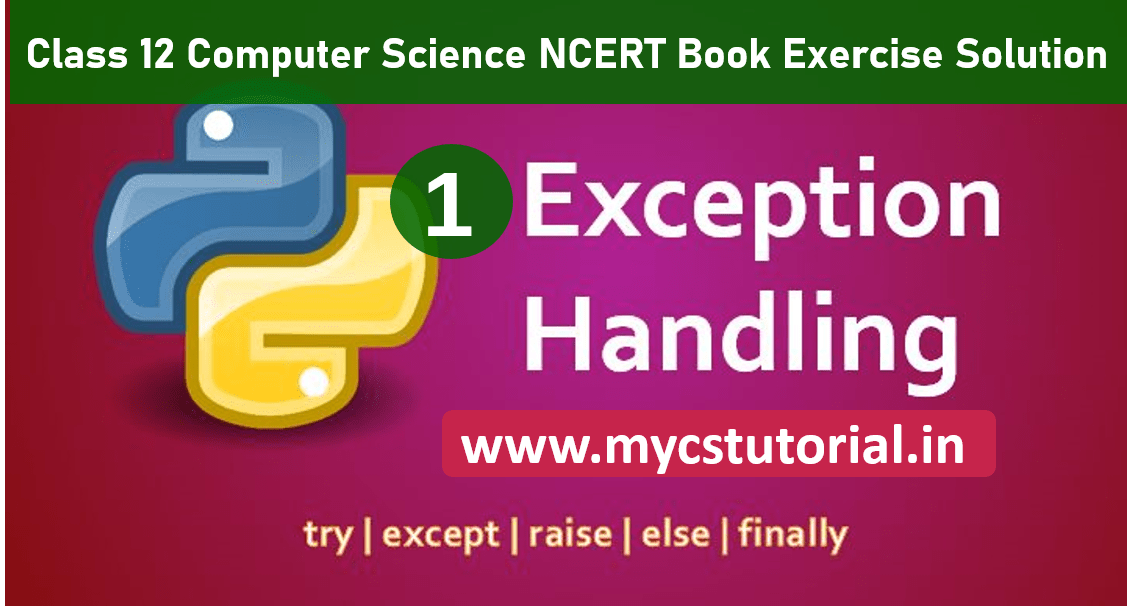 Class 12 Computer Science Exception Handling in Python NCERT Exercise