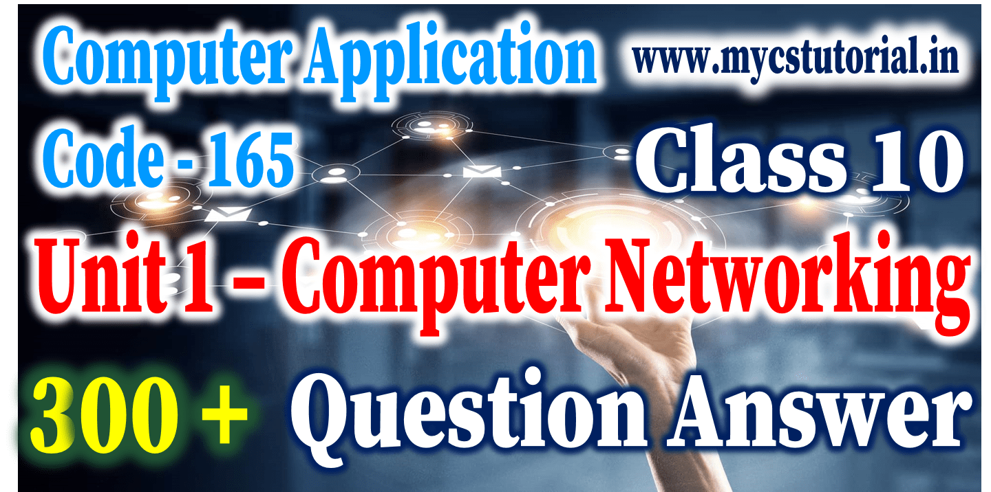 300+ Unit 1 Computer Networking important Question Answer Class 10